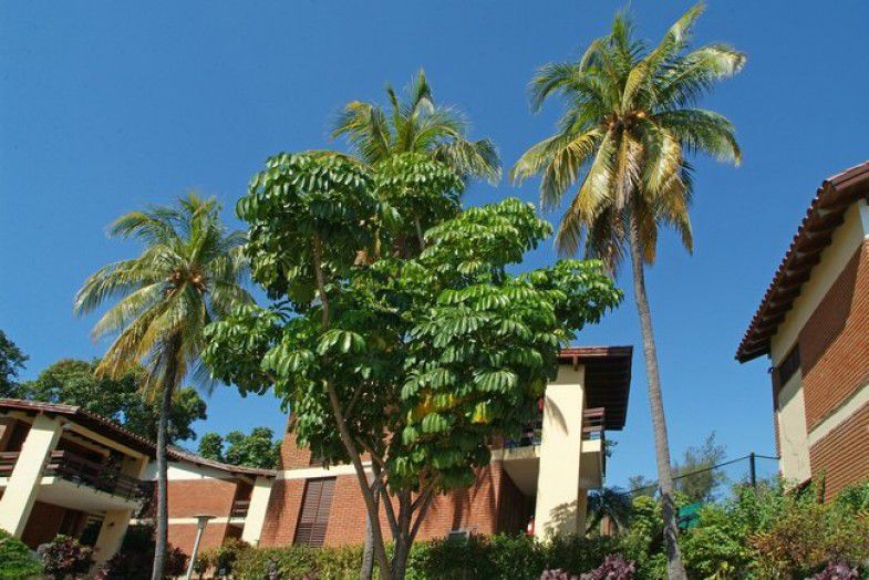 Versalles Hotel Santiago de Cuba Bagian luar foto